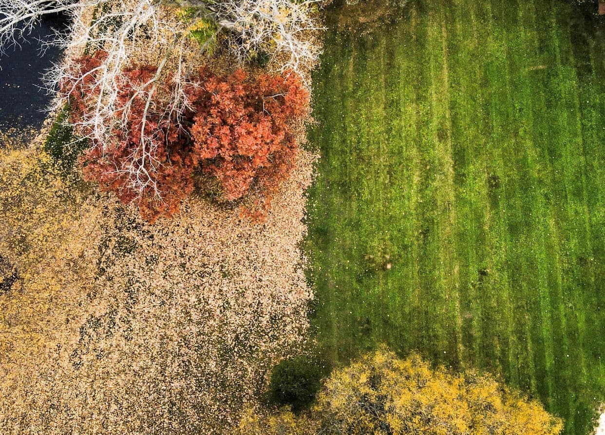 How to Winterize Your Lawn for a Healthy Spring image