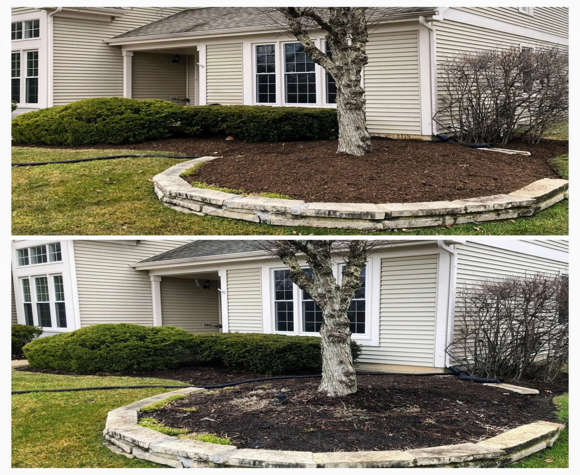 Spring Lawn Care Checklist: How to Prepare Your Yard for the Growing Season image