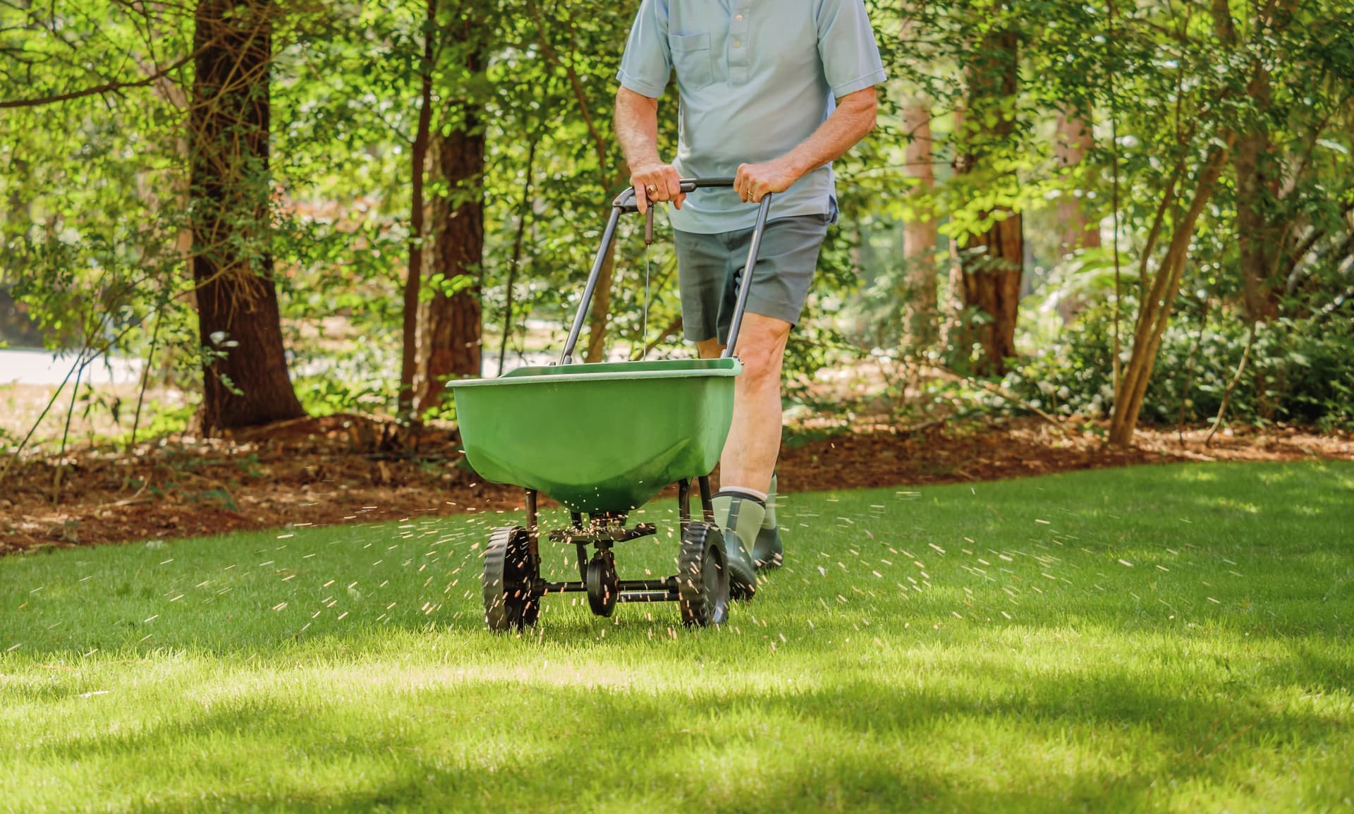 The Importance of Lawn Fertilization for a Healthy Yard image