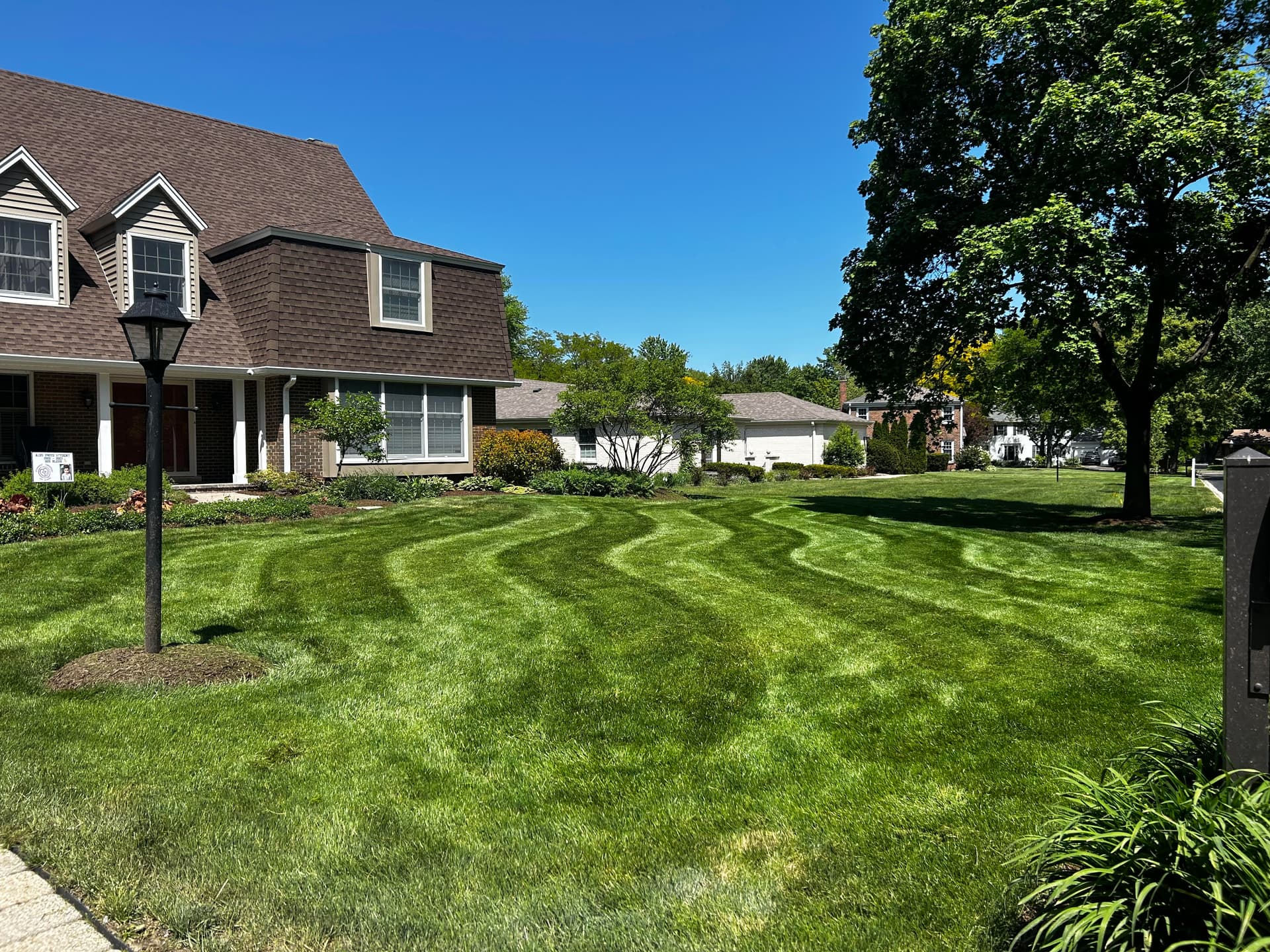 How to Prepare Your Lawn for Summer Heat image