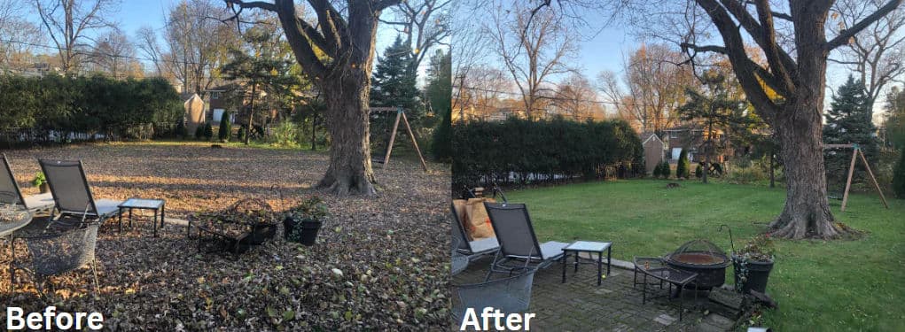 How Seasonal Cleanups Keep Your Yard Looking Its Best image