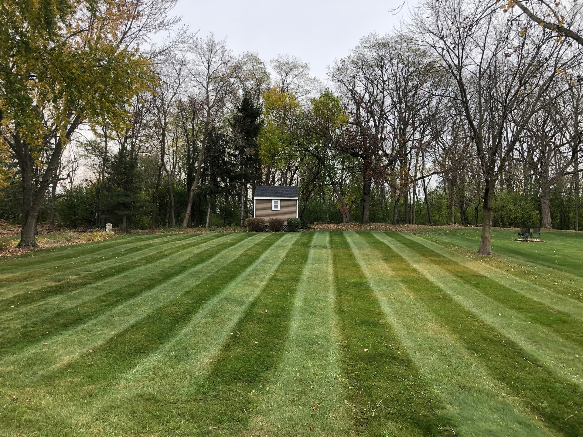 Why Weekly Lawn Mowing is Essential for a Lush Yard image