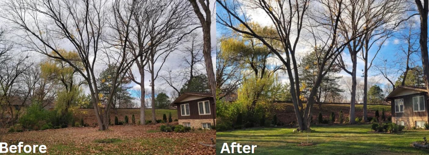 The Importance of Fall Cleanups for a Healthy Lawn image
