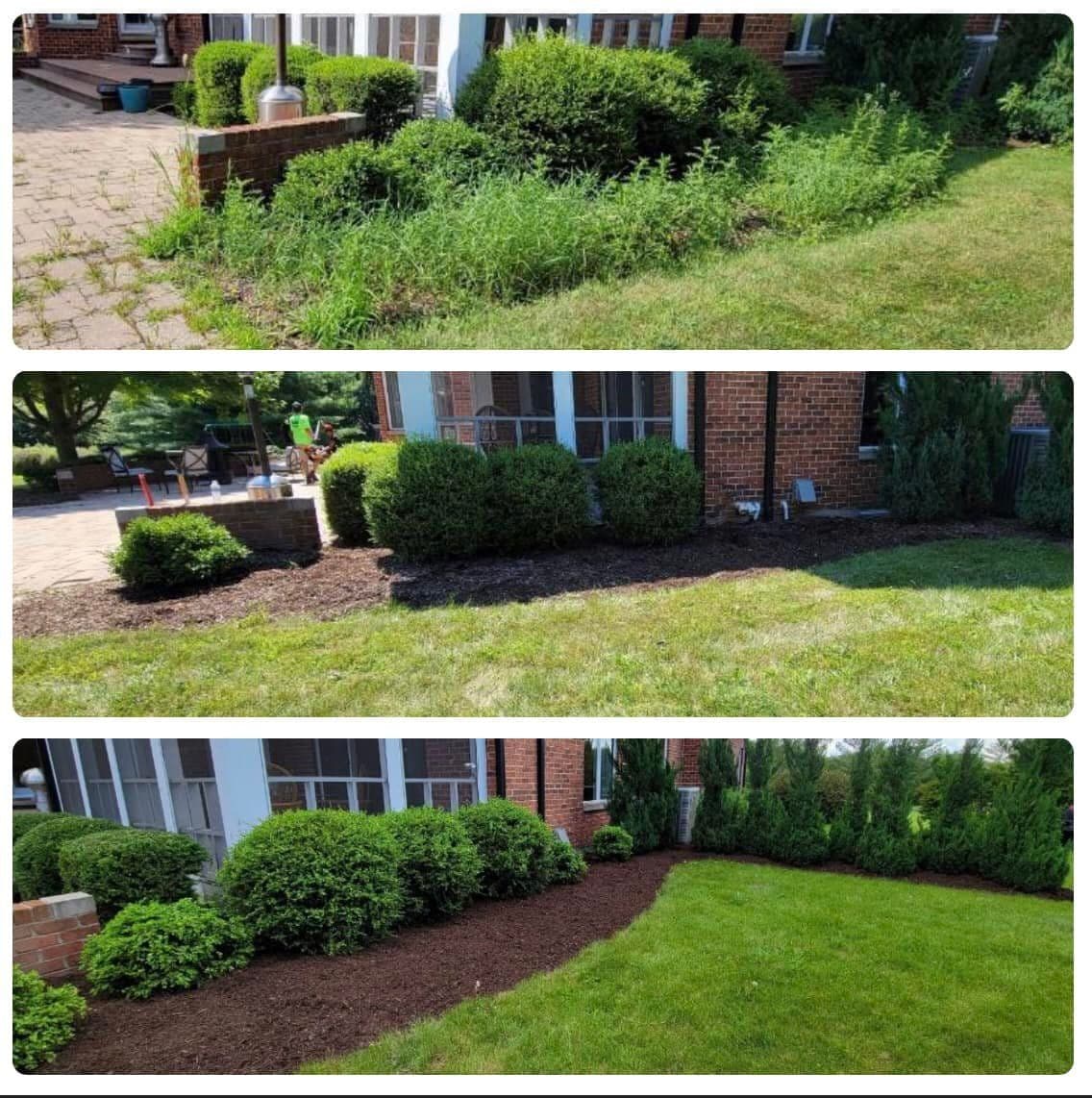 The Best Shrubs & Plants for Low-Maintenance Landscaping image