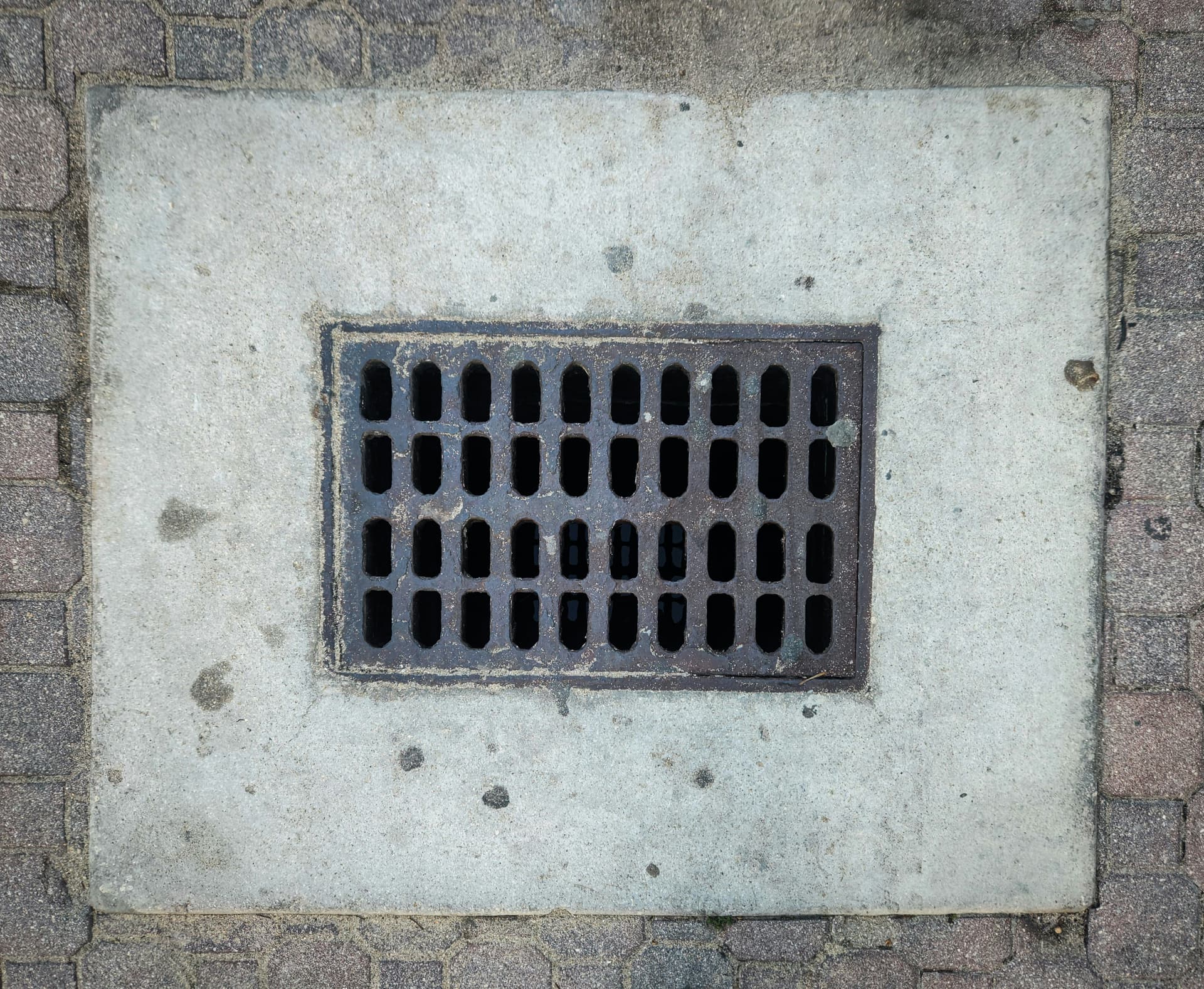 Why Drainage is Key to a Healthy Landscape image