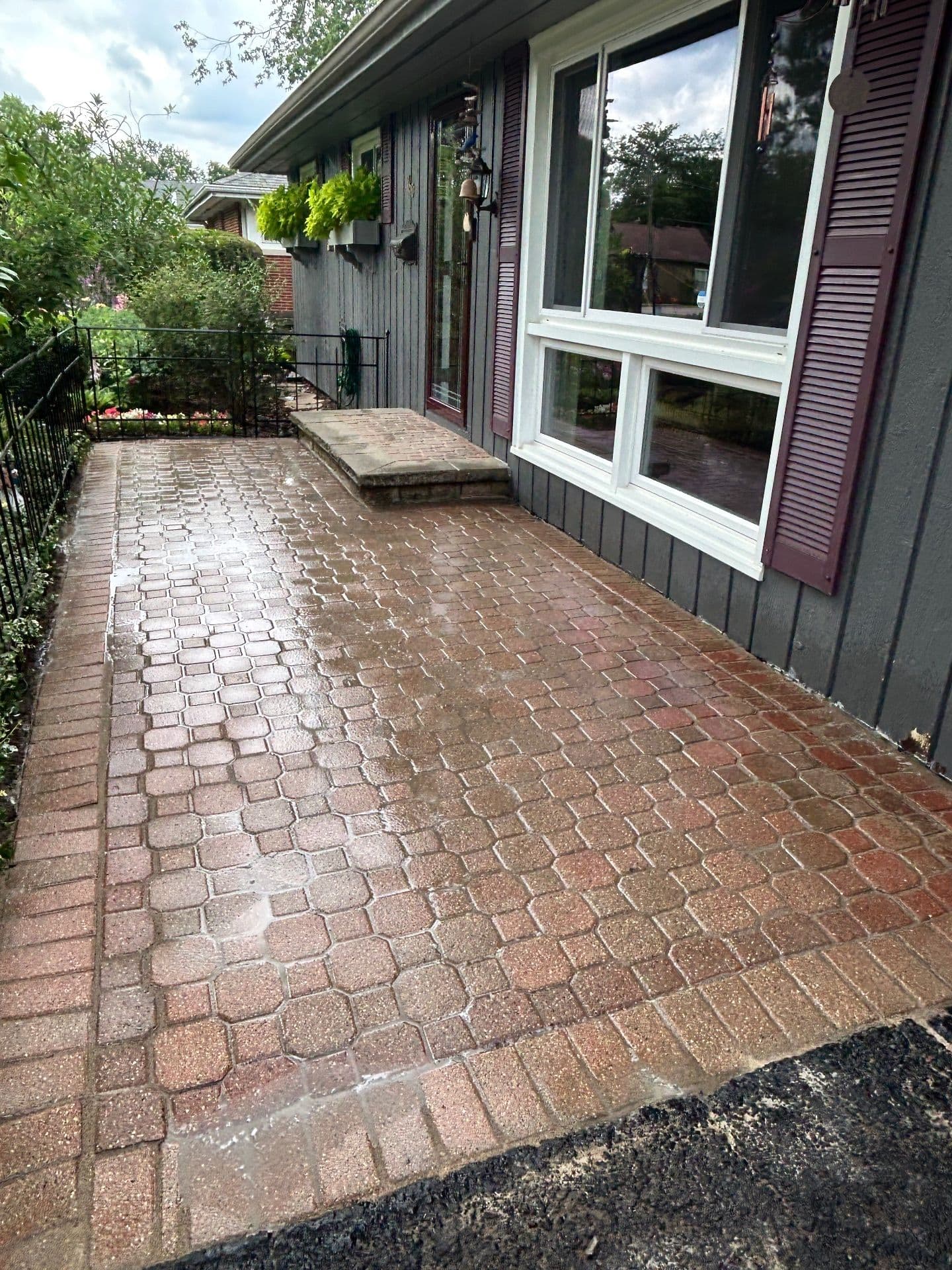 Gallery photos for Revitalized Patio and Walkway Transformation: Image #1