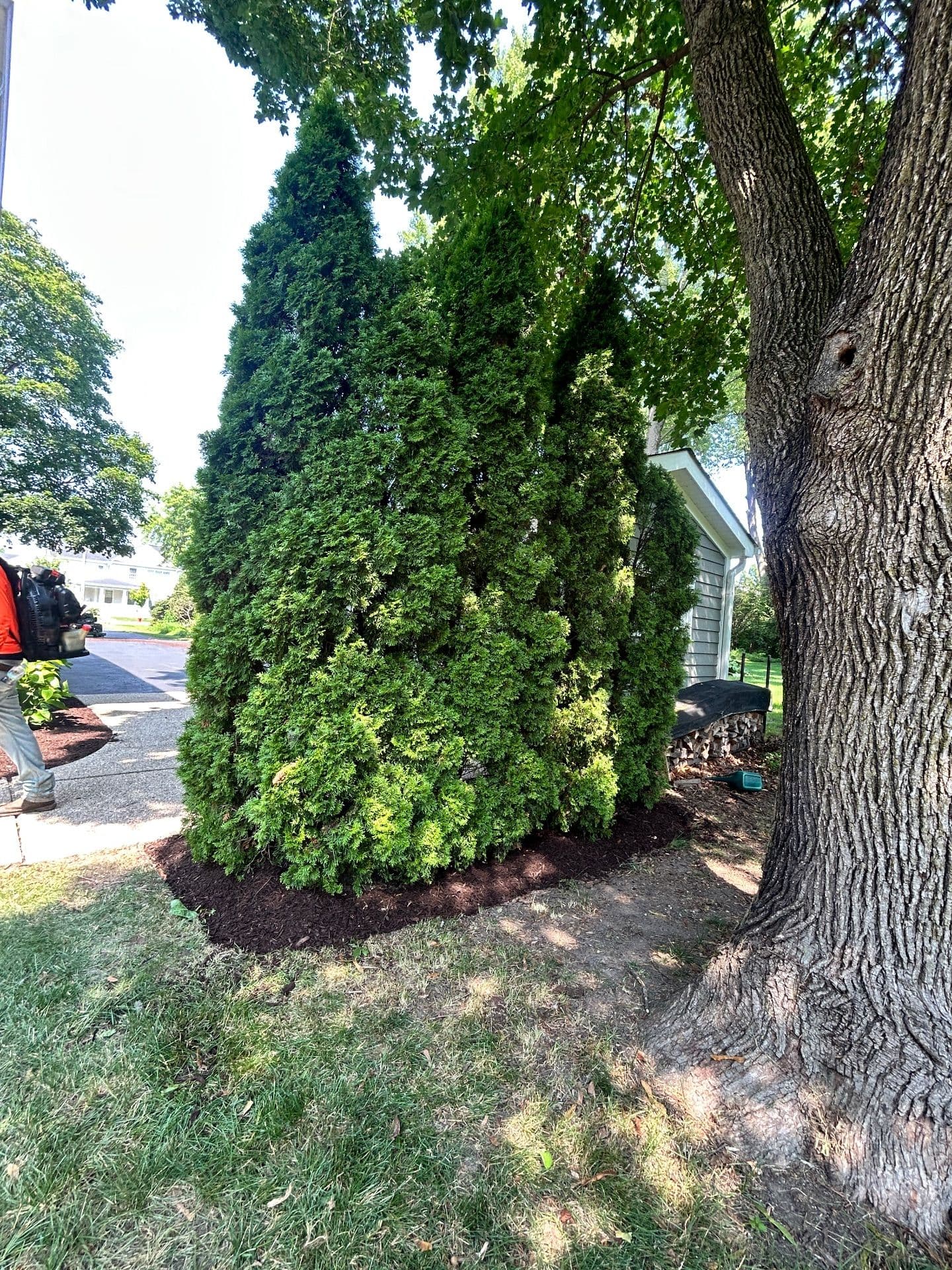 Gallery photos for Pristine Landscaping for a Dream Yard: Image #4