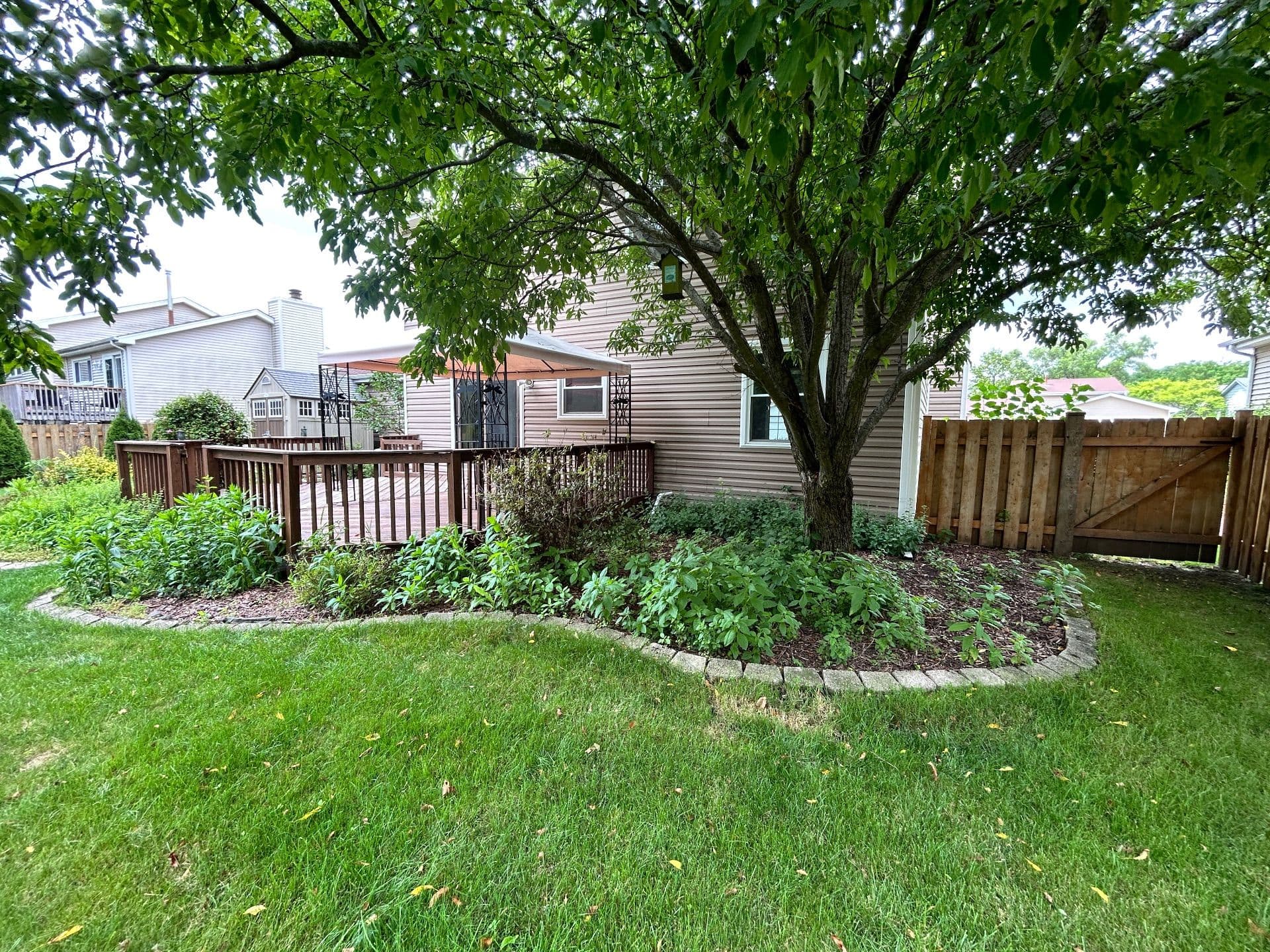 Gallery photos for Stunning Backyard Transformation Enhances Outdoor Living: Image #1