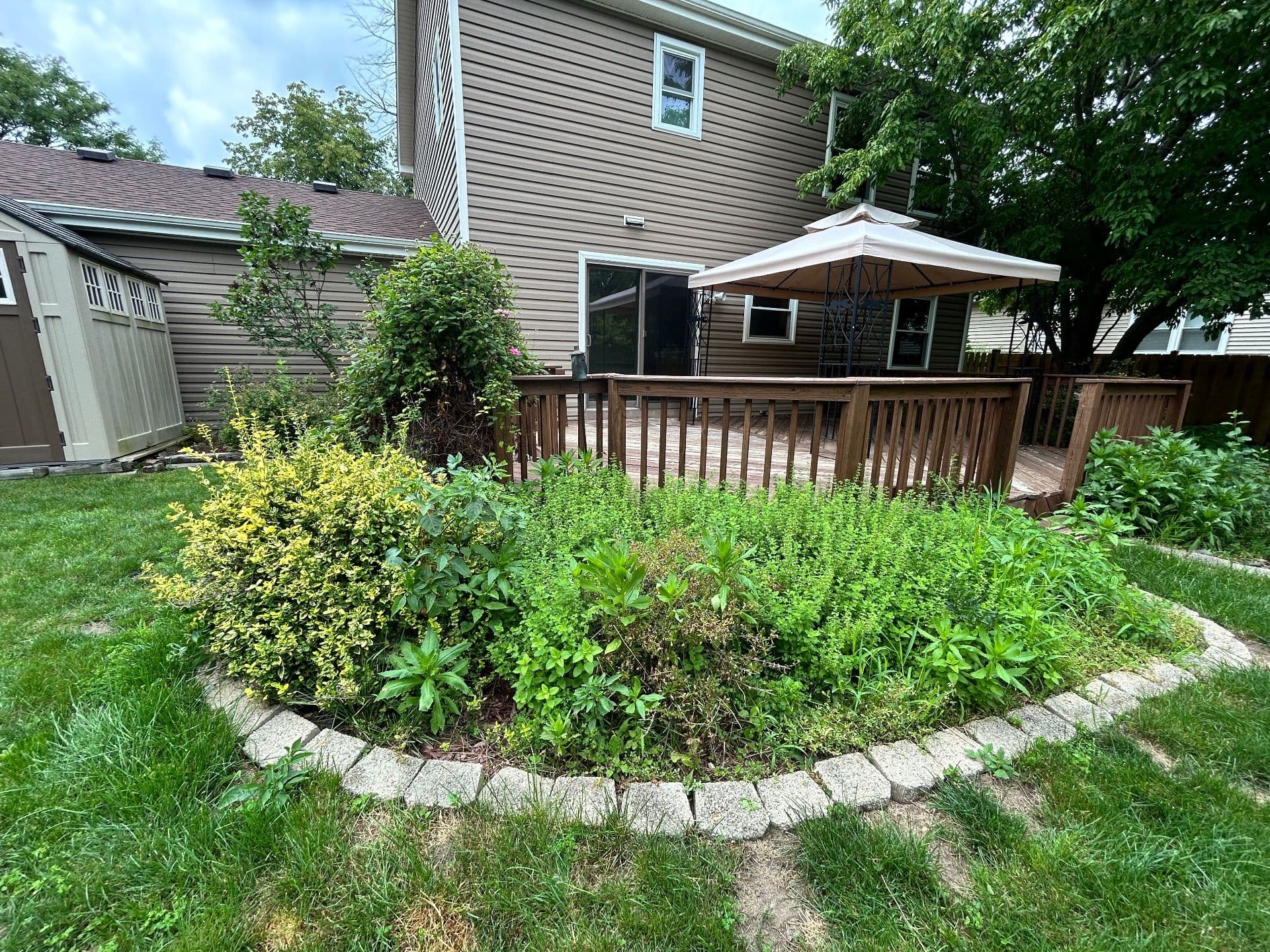 Gallery photos for Stunning Backyard Transformation Enhances Outdoor Living: Image #9