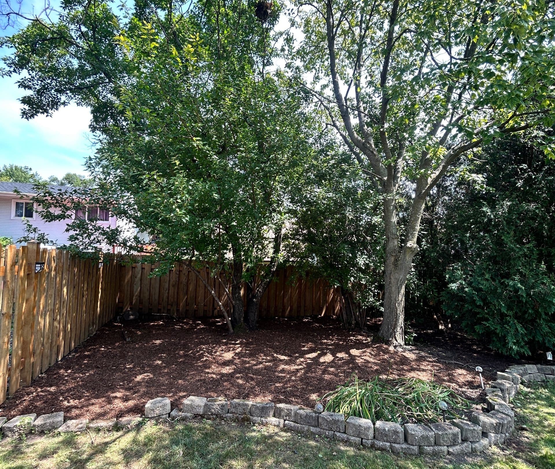 Stunning Backyard Transformation Enhances Outdoor Living image