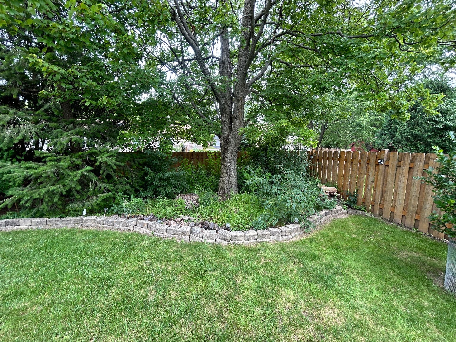 Gallery photos for Stunning Backyard Transformation Enhances Outdoor Living: Image #7
