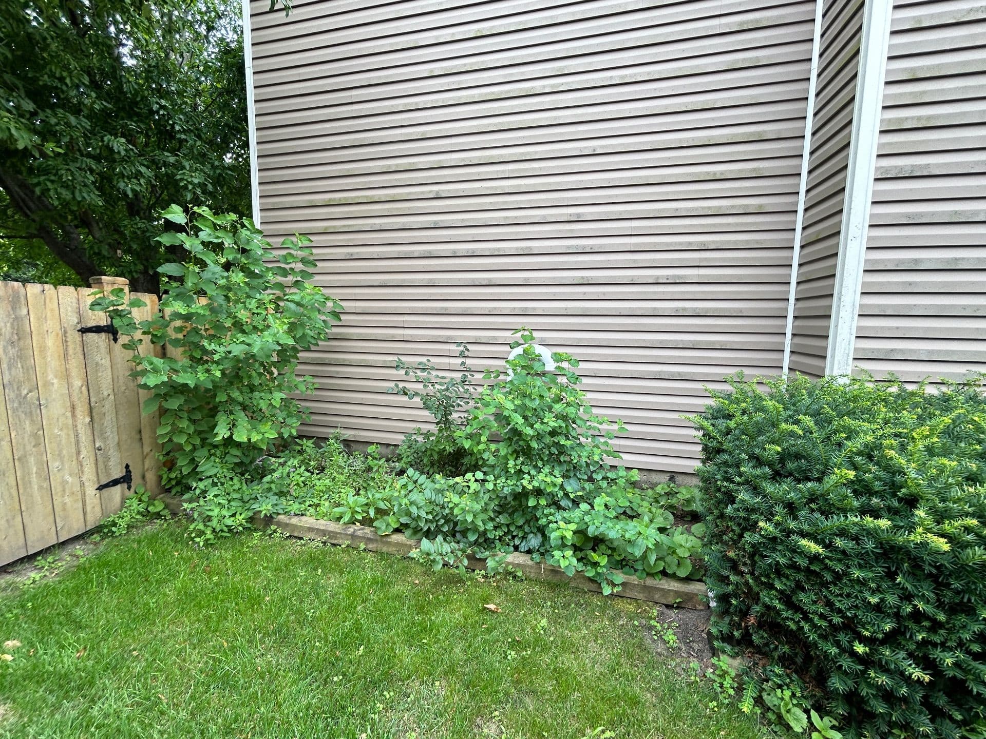 Gallery photos for Stunning Backyard Transformation Enhances Outdoor Living: Image #4
