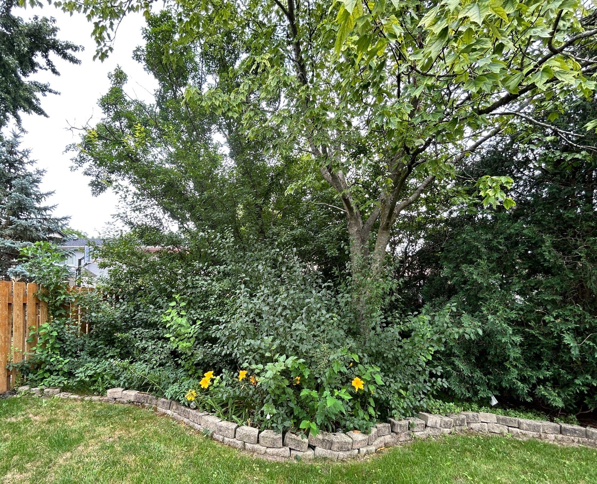 Gallery photos for Stunning Backyard Transformation Enhances Outdoor Living: Image #6