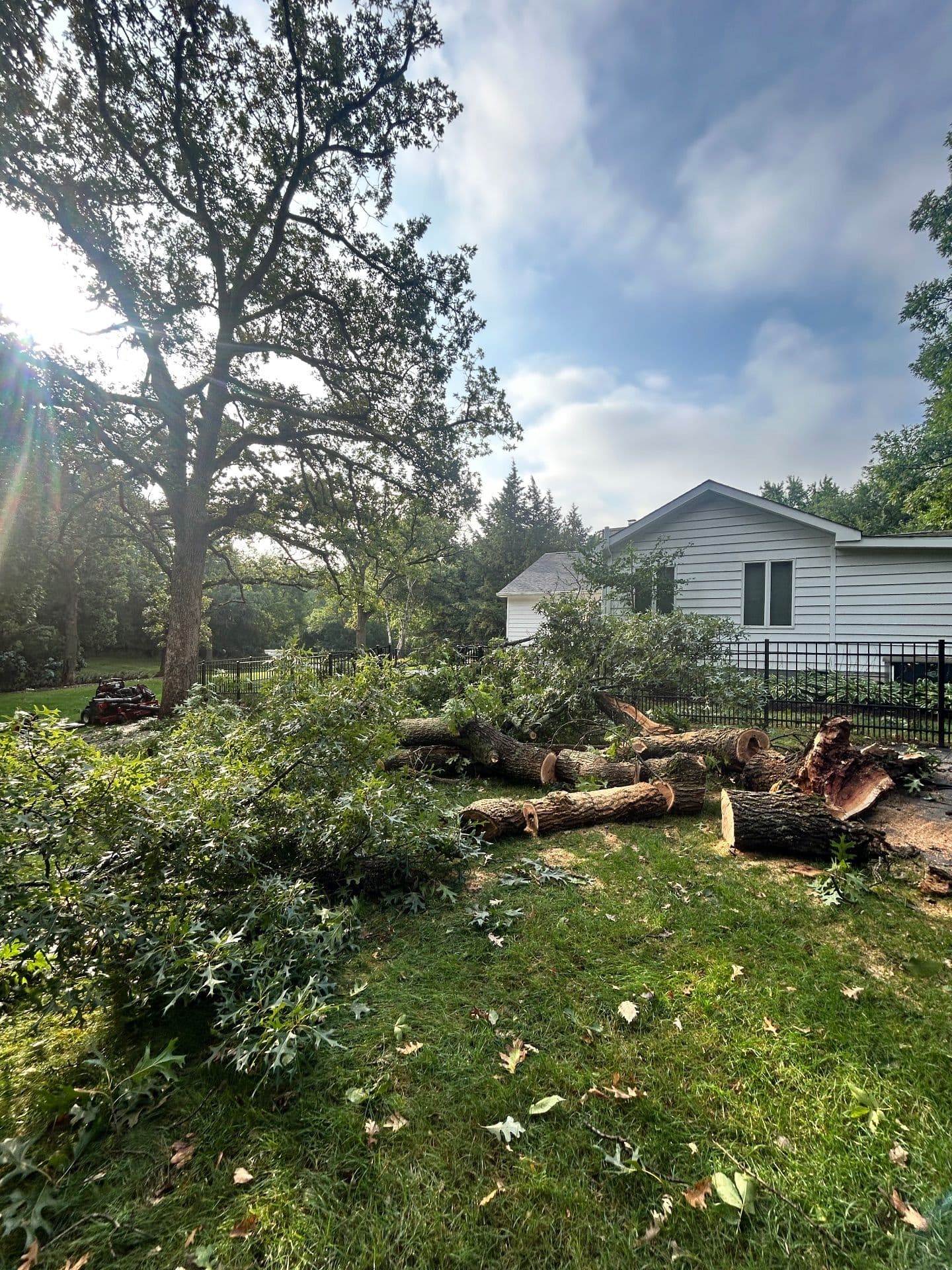 Gallery photos for Expert Storm Cleanup and Tree Removal Services: Image #2