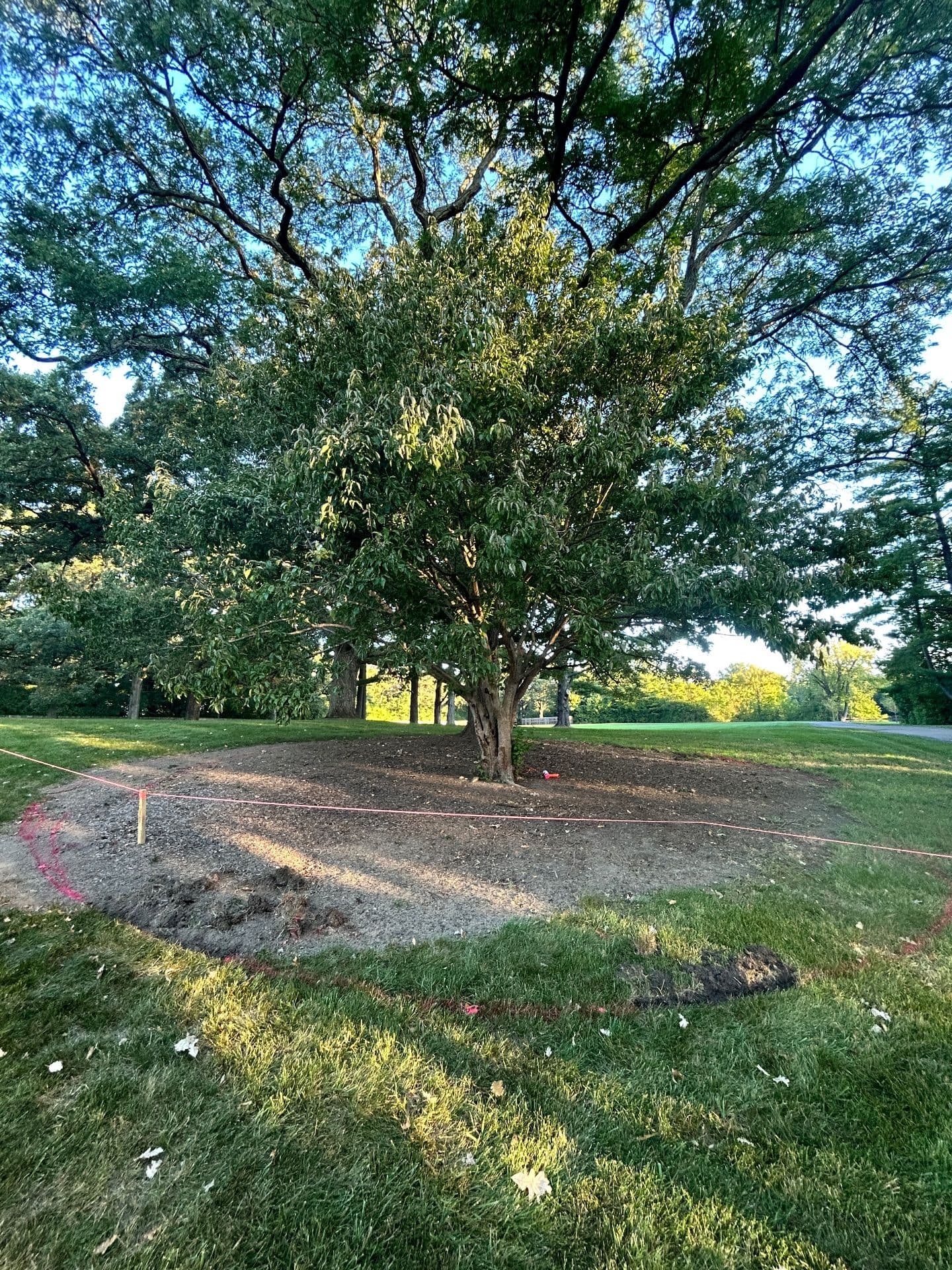 Gallery photos for Revitalize Your Outdoor Space with Expert Mulching: Image #1