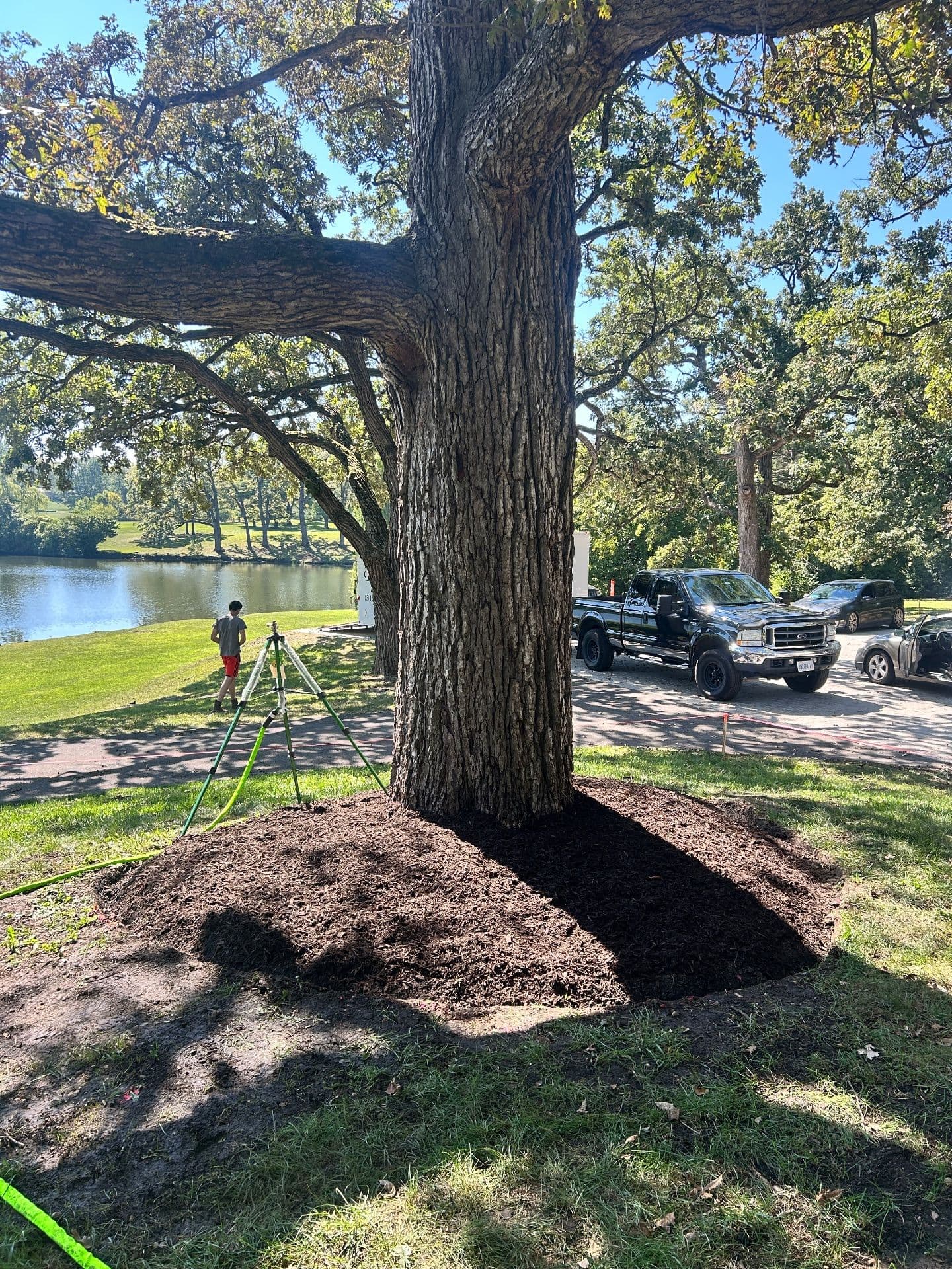 Gallery photos for Revitalize Your Outdoor Space with Expert Mulching: Image #3