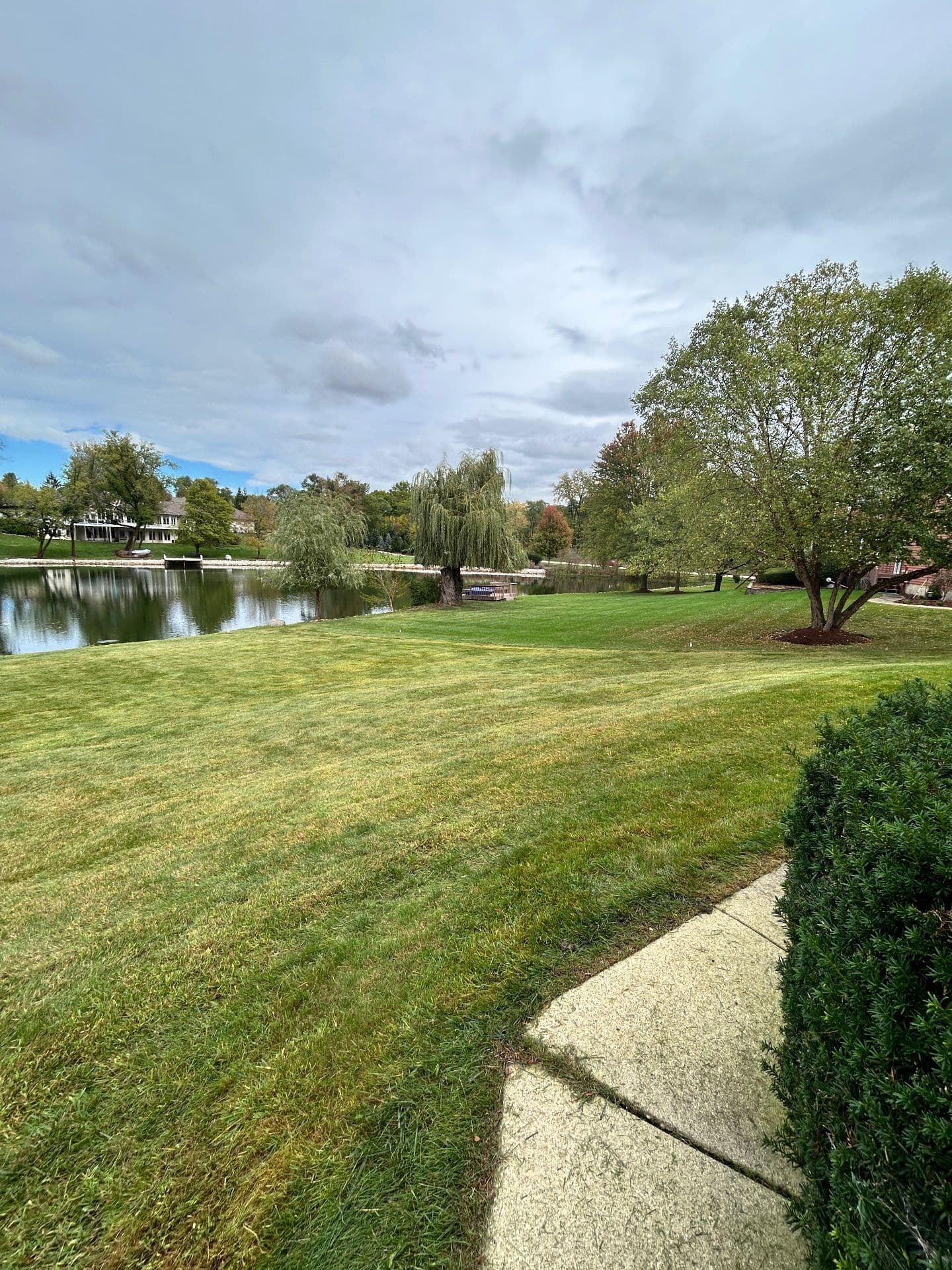 Lakeside Lawn Restoration for a Serene Outdoor Space image