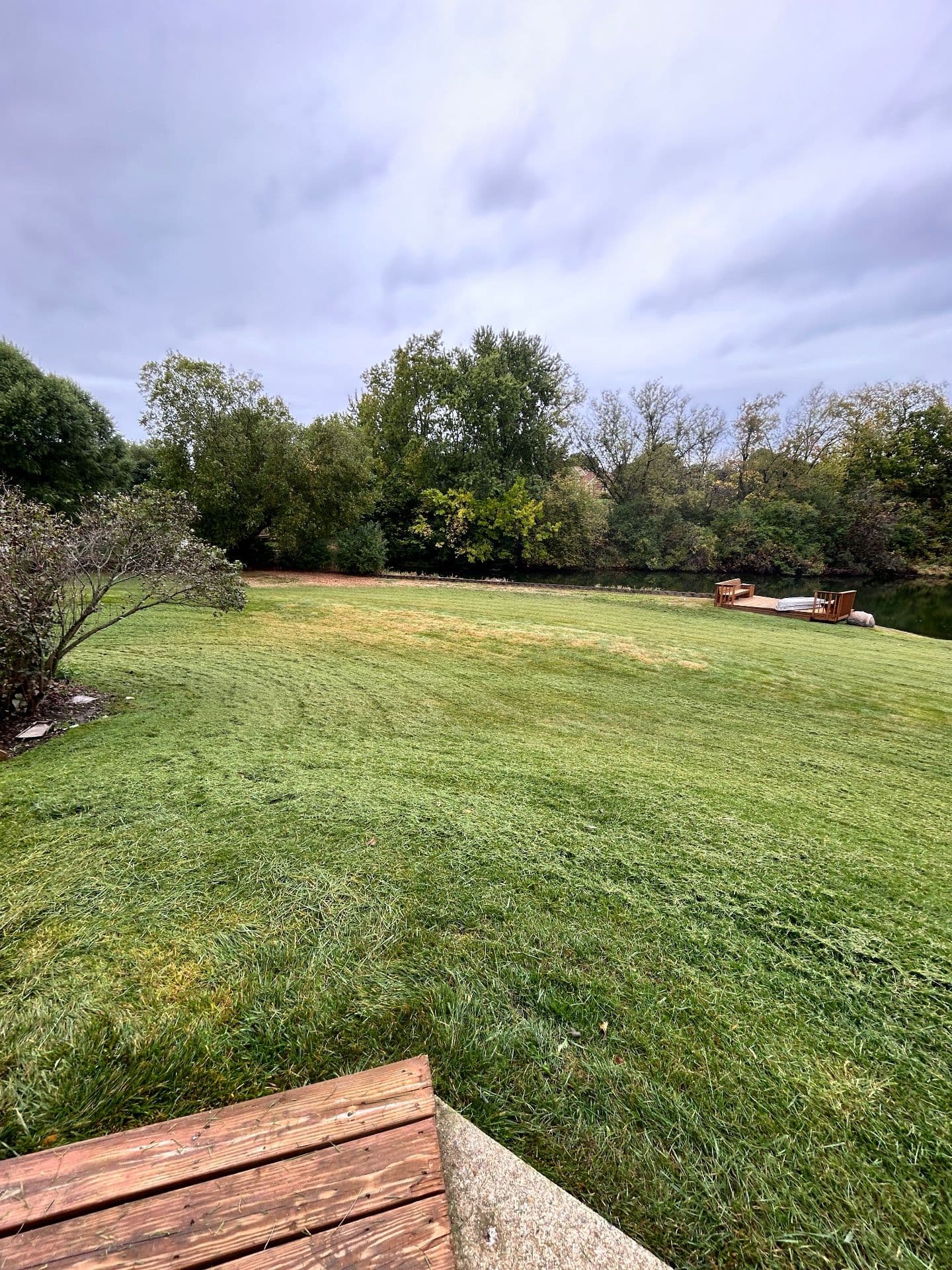 Gallery photos for Lakeside Lawn Restoration for a Serene Outdoor Space: Image #1