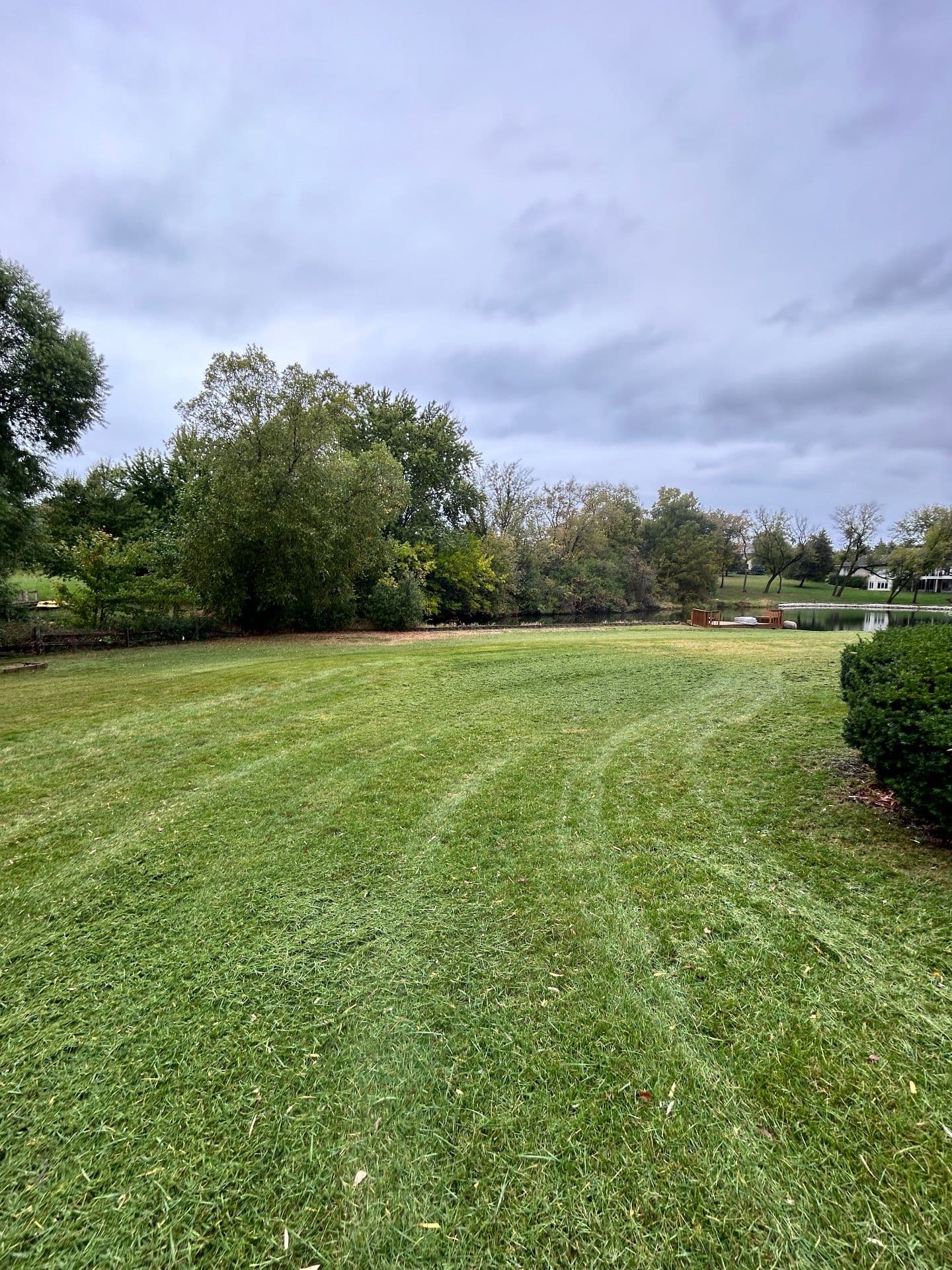 Gallery photos for Lakeside Lawn Restoration for a Serene Outdoor Space: Image #3