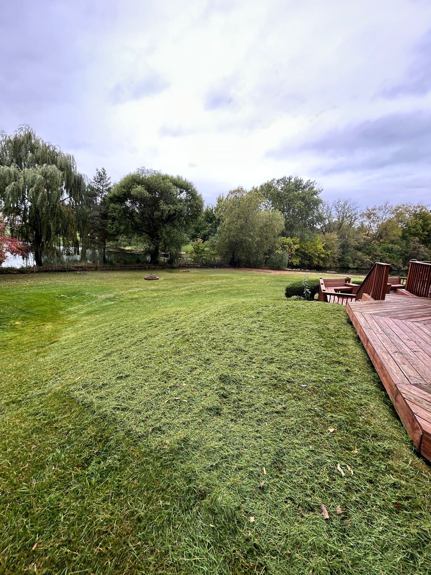 Gallery photos for Lakeside Lawn Restoration for a Serene Outdoor Space: Image #2