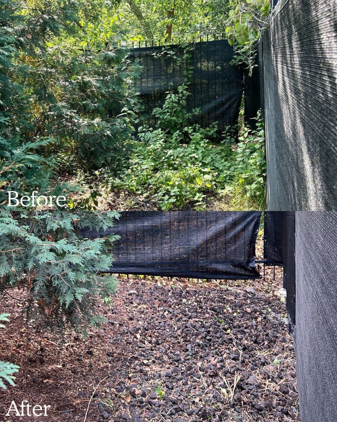Gallery photos for Complete Fall Cleanup Landscaping in Barrington IL: Image #4
