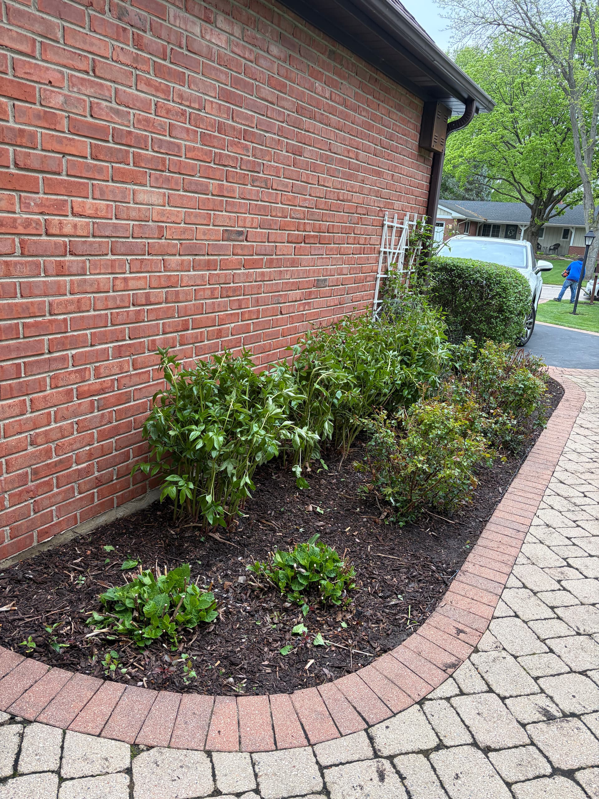 Gallery photos for Full Landscape Reset and Cleanup in Barrington IL: Image #8