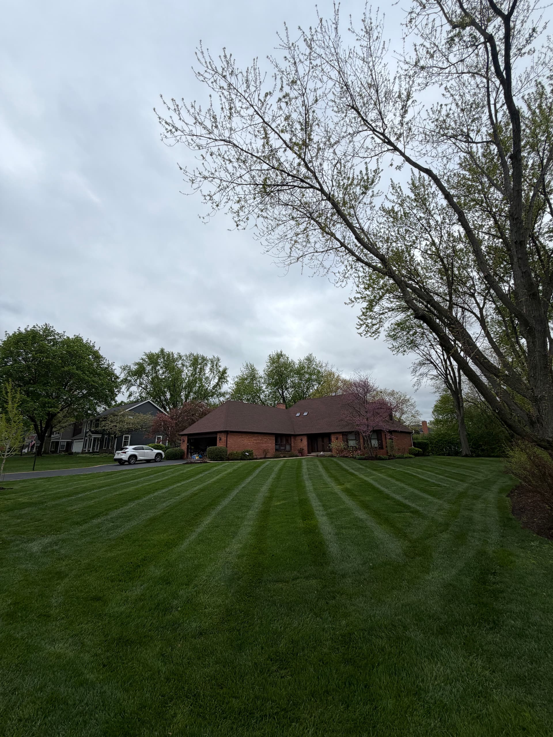 Full Landscape Reset and Cleanup in Barrington IL