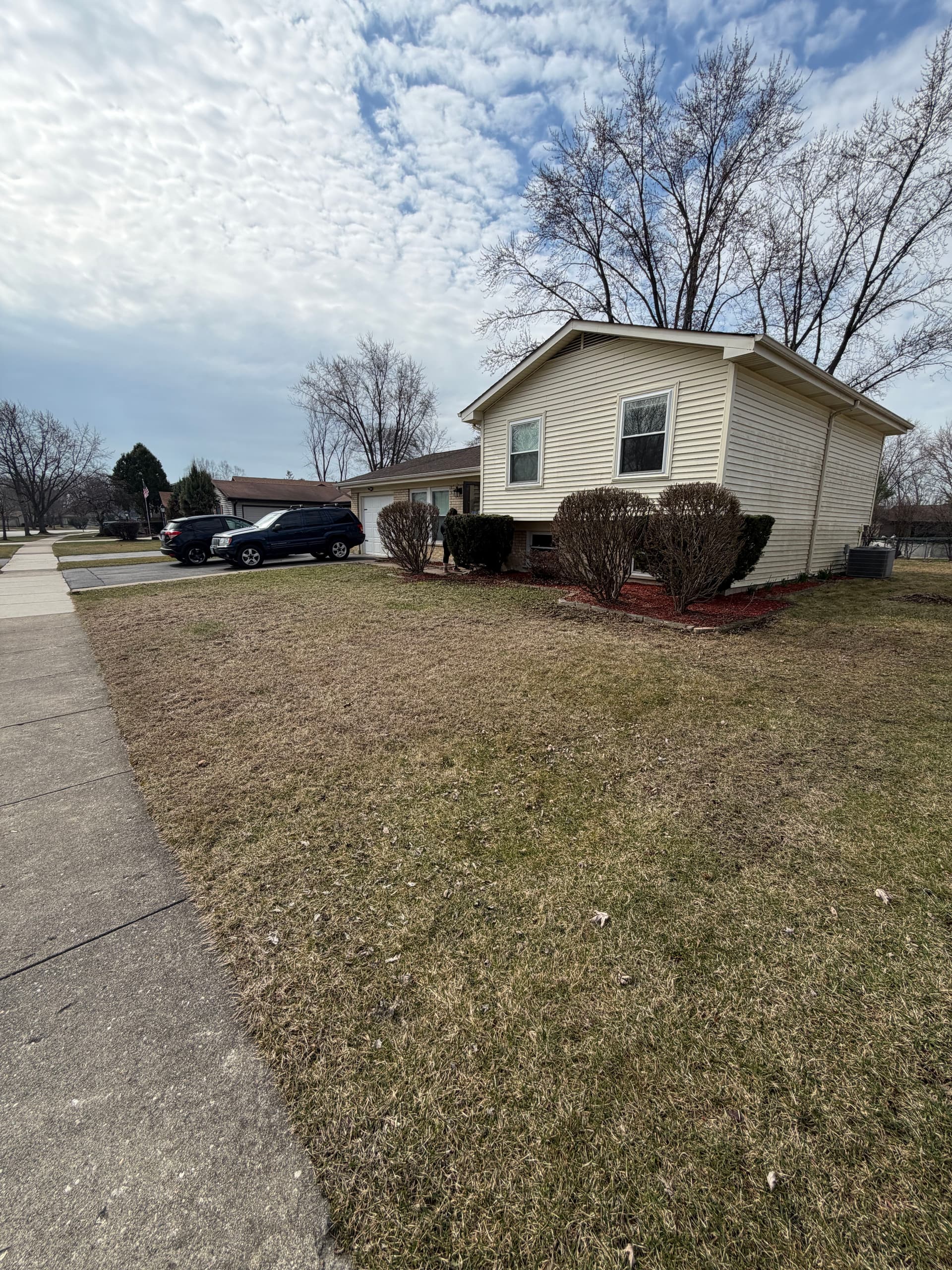 Last-Minute Spring Cleanup Success in Palatine IL image