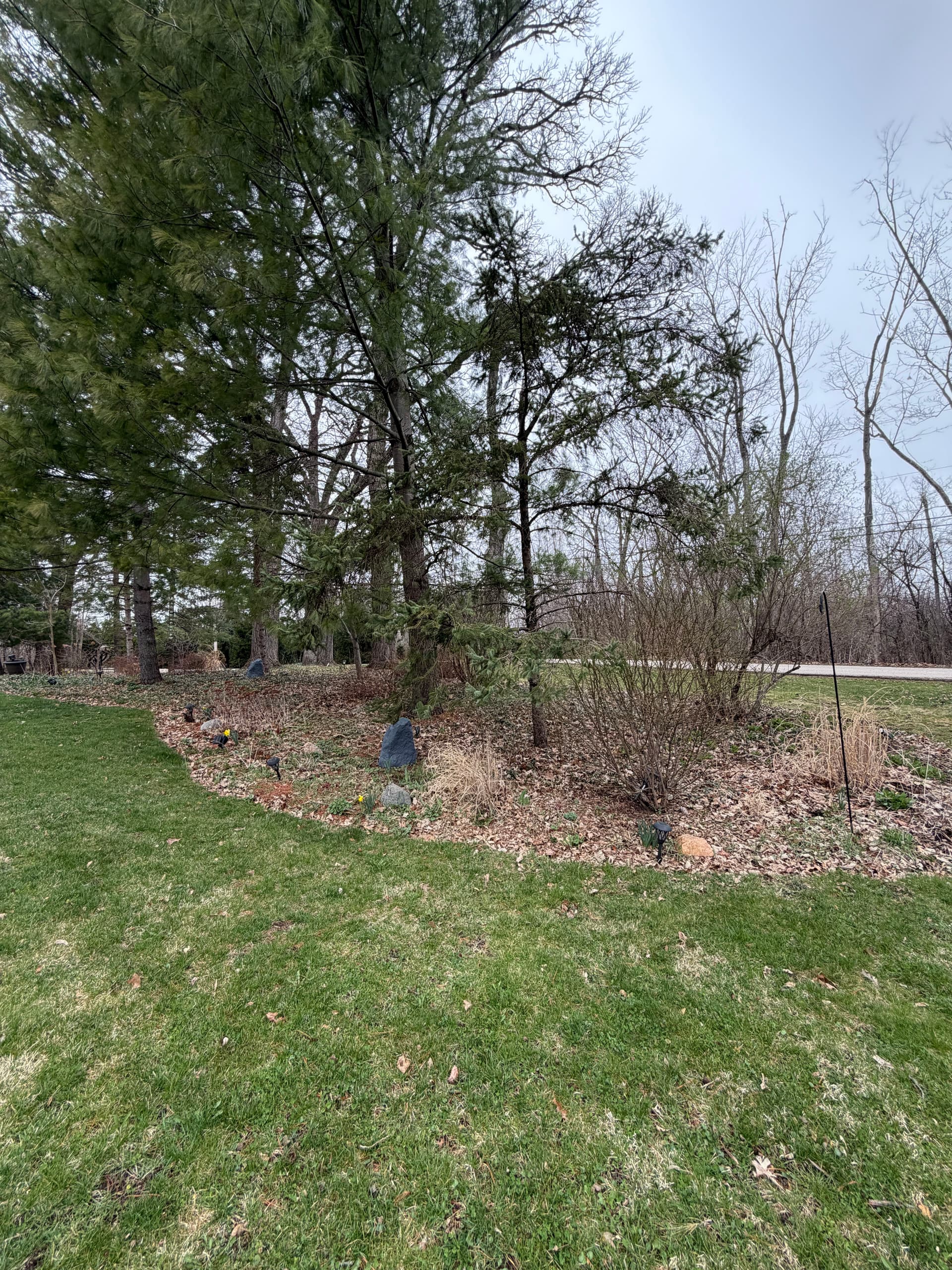 Gallery photos for Comprehensive Landscape Cleanup in Barrington Area: Image #6