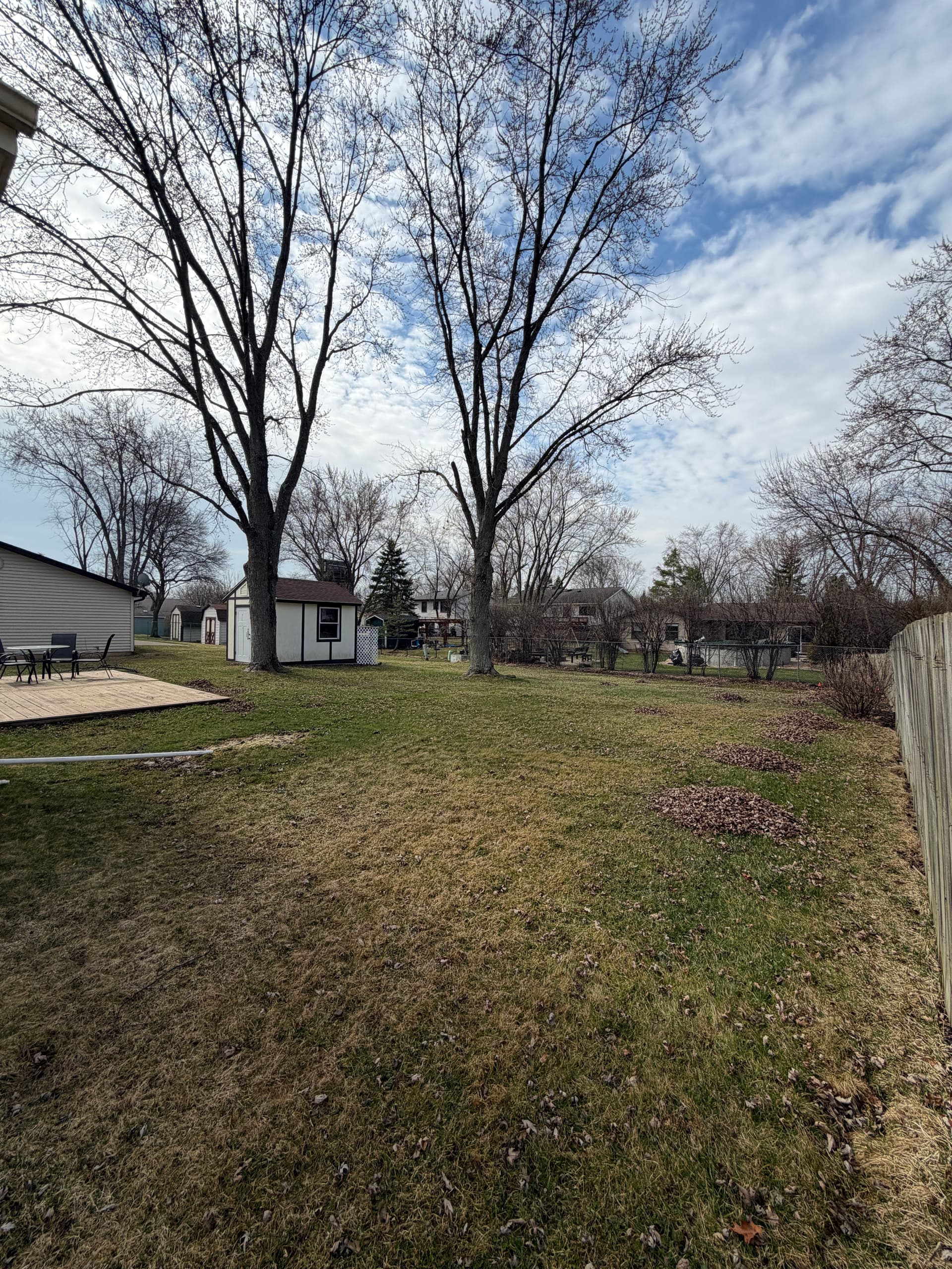 Gallery photos for Last-Minute Spring Cleanup Success in Palatine IL: Image #2
