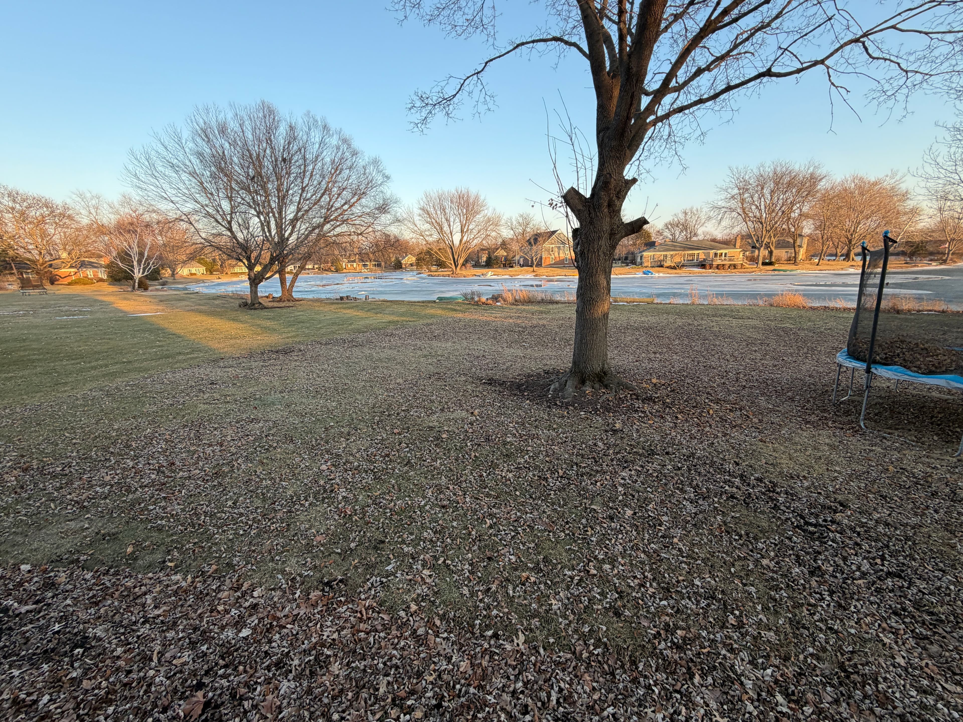 Project Effective Leaf Cleanup Transforms Barrington Yards image