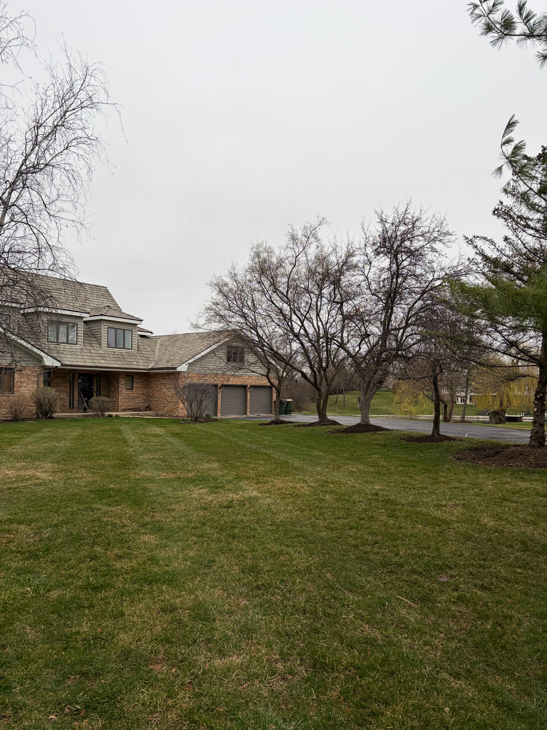 Gallery photos for Full Spring Cleanup and Tree Pruning at a Barrington Area Property: Image #1