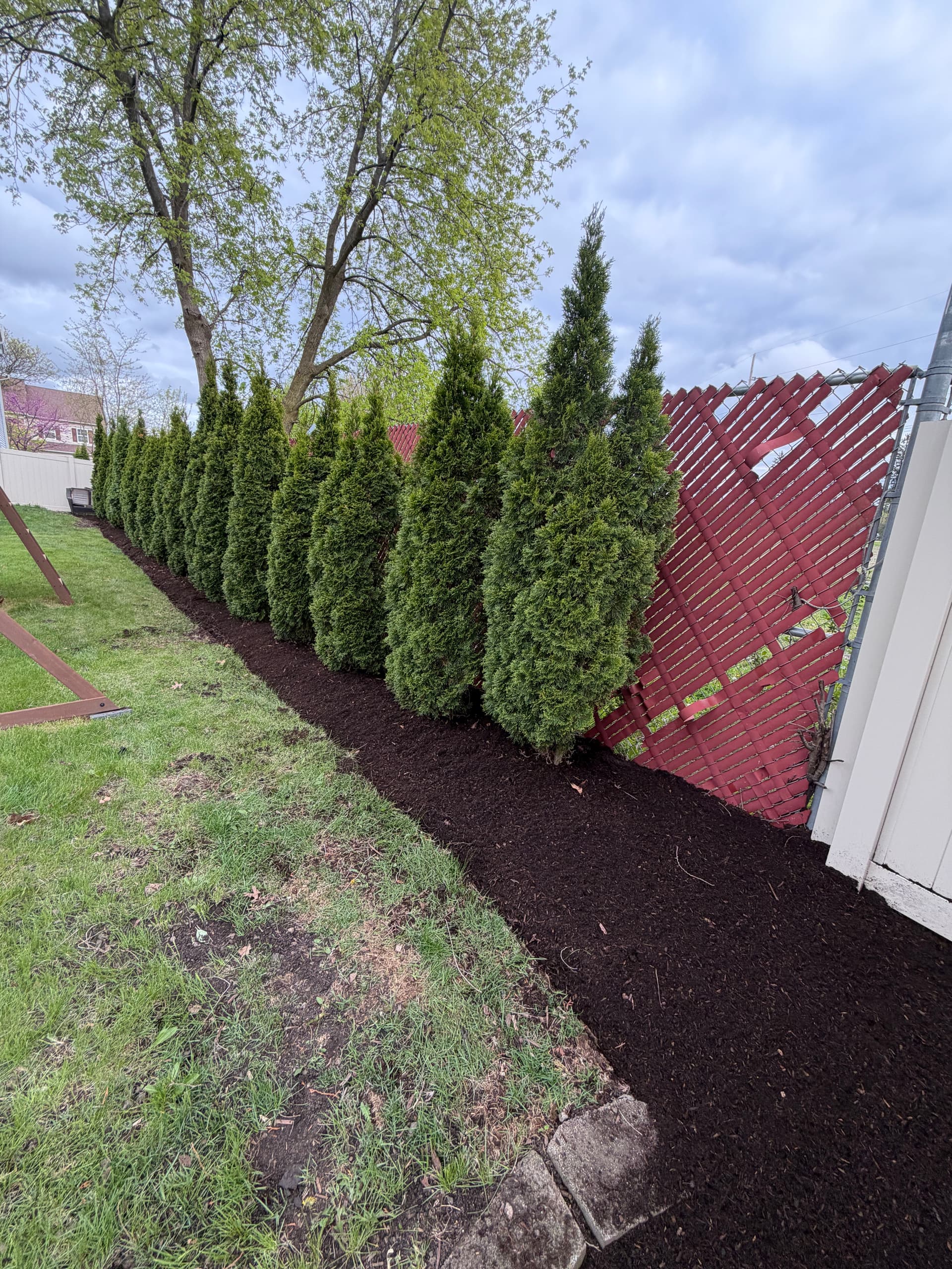 Gallery photos for Full Landscape Bed Reset and Plant Install in Palatine: Image #3