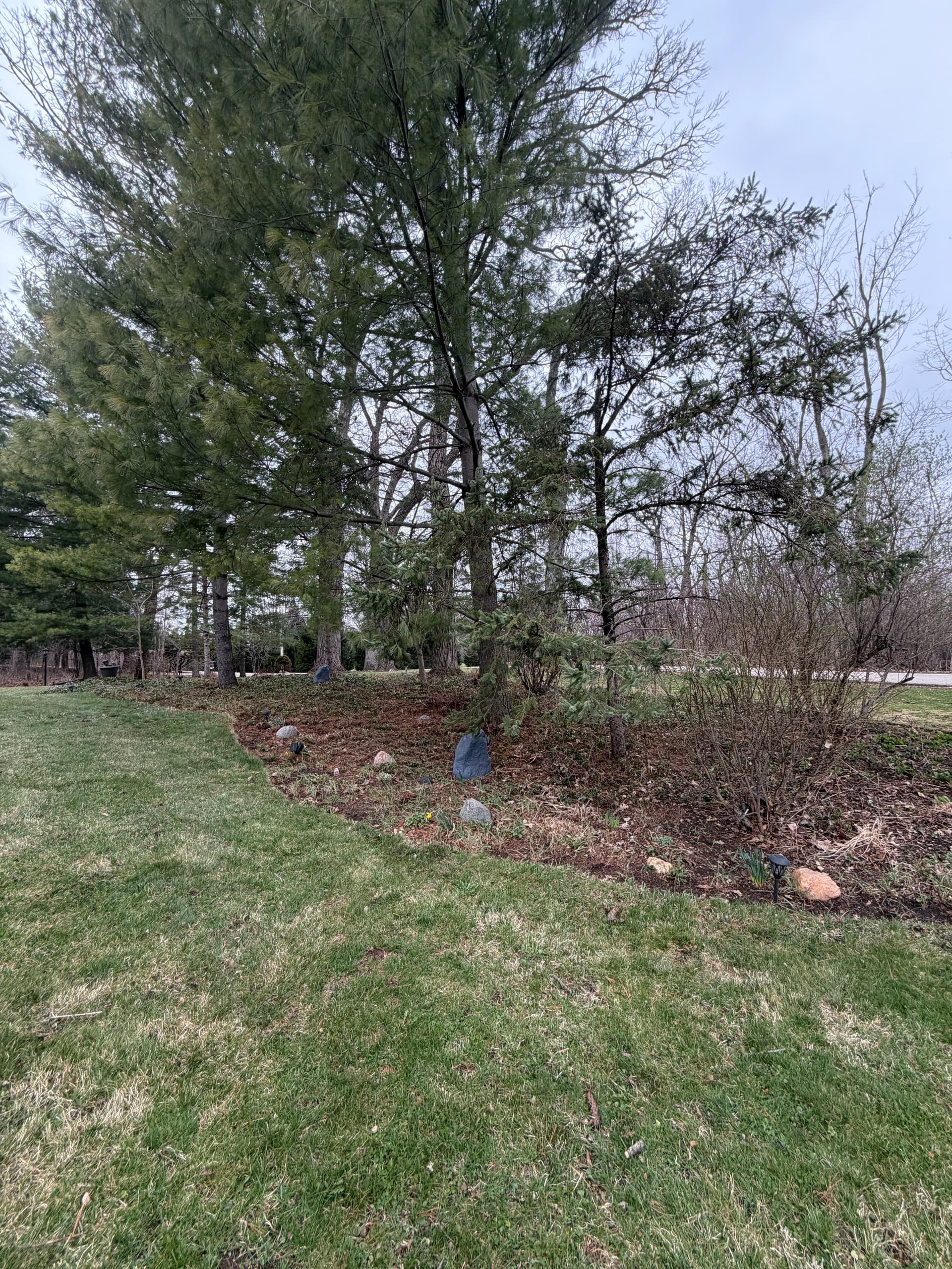 Gallery photos for Comprehensive Landscape Cleanup in Barrington Area: Image #7