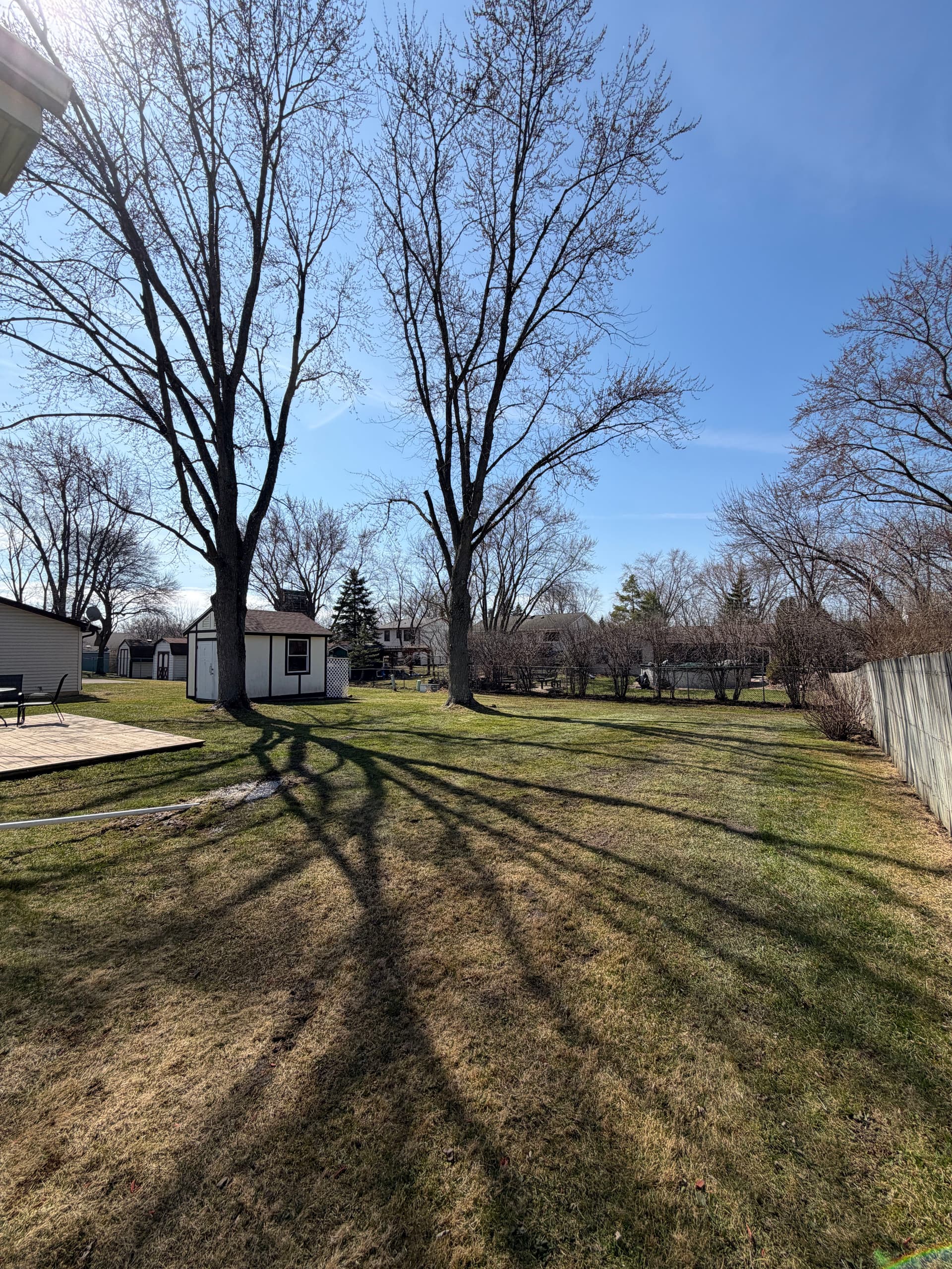 Gallery photos for Last-Minute Spring Cleanup Success in Palatine IL: Image #5