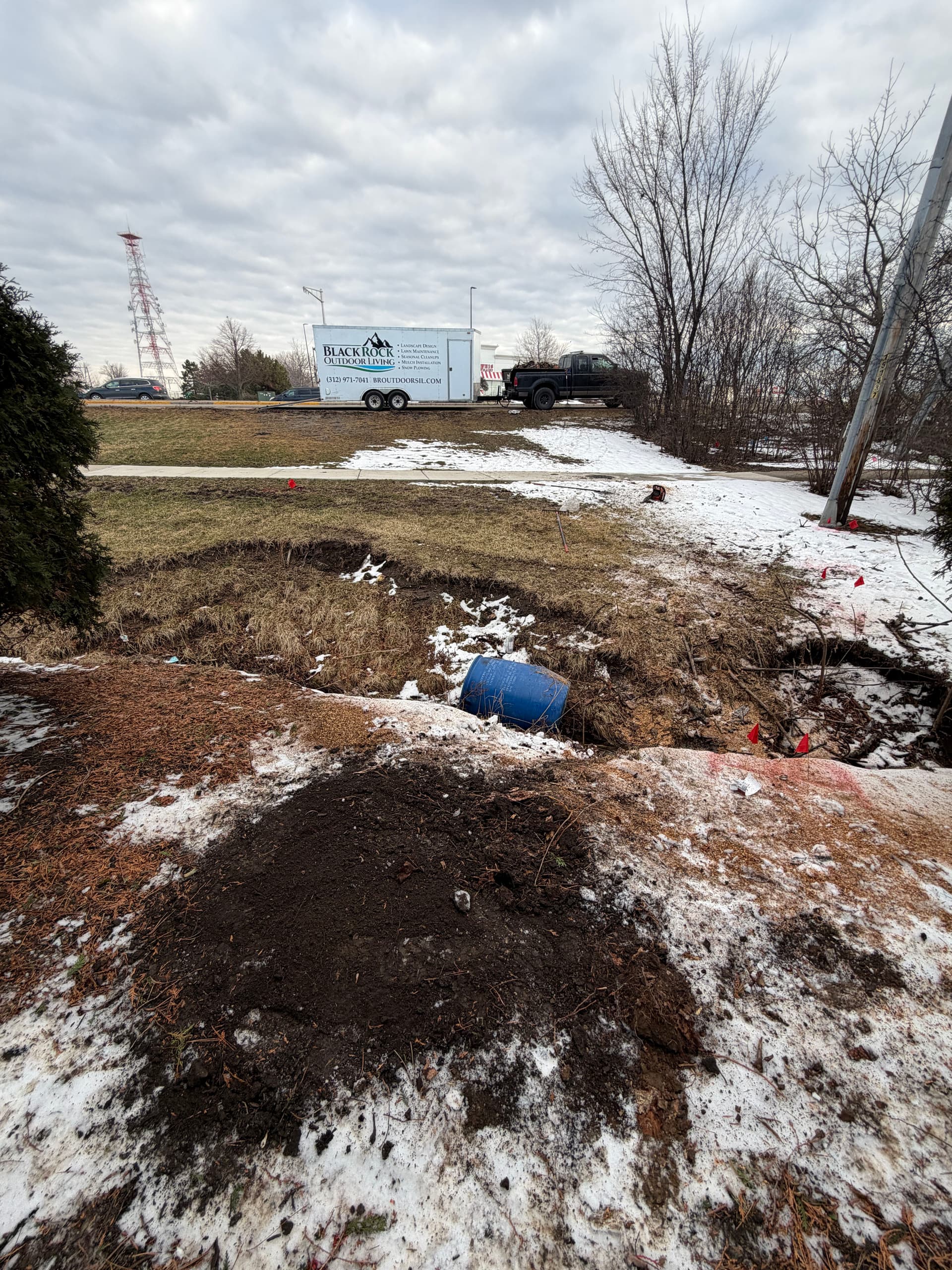 Gallery photos for Efficient Tree Removal in Lake Zurich: Image #1