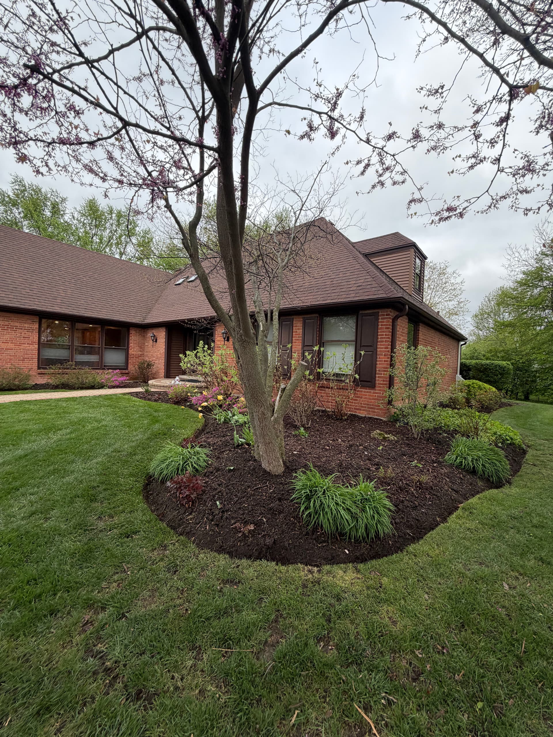 Gallery photos for Full Landscape Reset and Cleanup in Barrington IL: Image #4