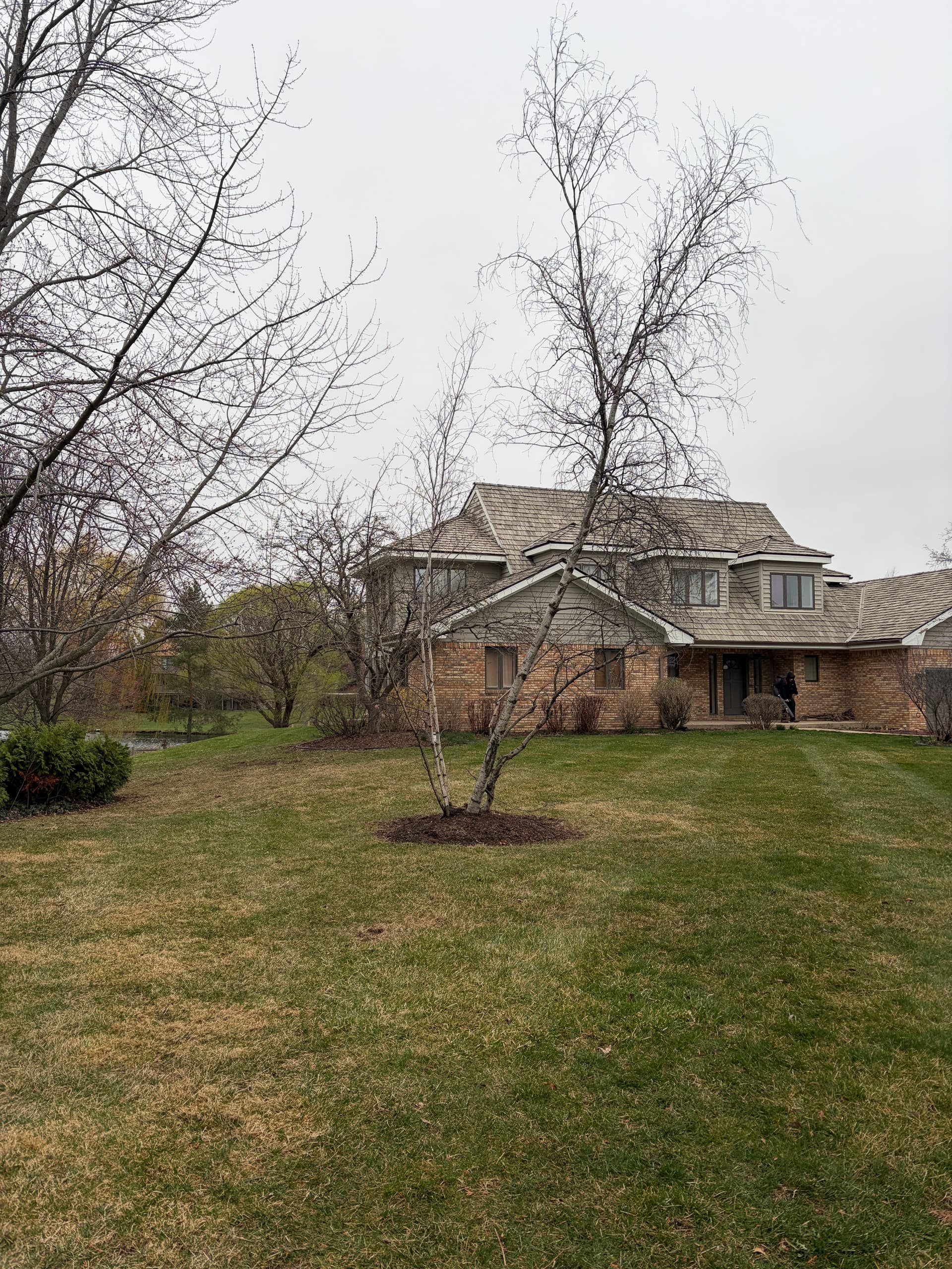 Gallery photos for Full Spring Cleanup and Tree Pruning at a Barrington Area Property: Image #2