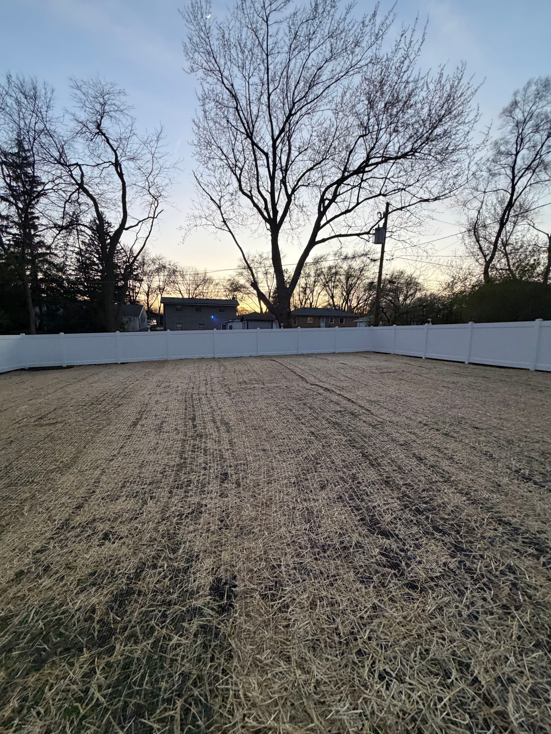 Gallery photos for Full Backyard Reset with Aeration Overseeding and Lawn Releveling: Image #2