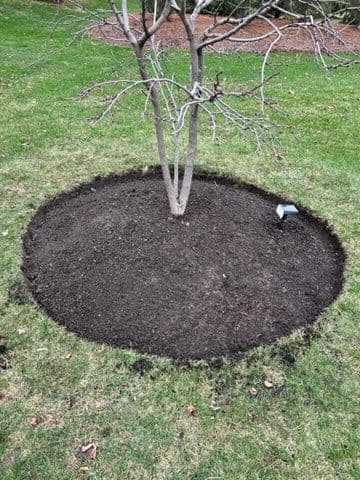Project Property Clean-Up and Tree Care in Inverness, IL image