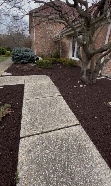 Gallery photos for Spring Garden Cleanup and Mulching: Image #1