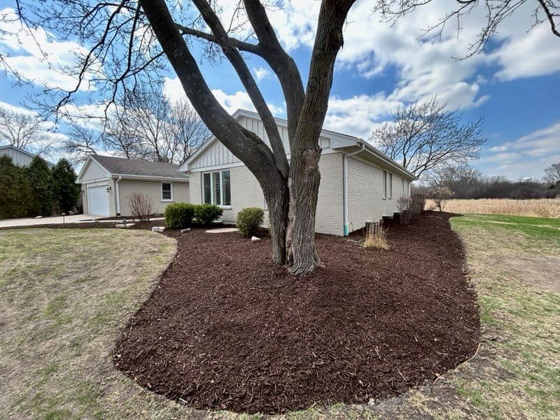 Gallery photos for Residential Backyard Transformation: Image #1