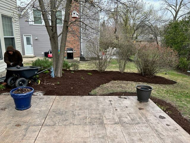 Gallery photos for Landscape Upgrade with Spring Cleanup: Image #3
