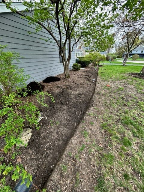 Stunning Yard Transformation in Barrington IL image