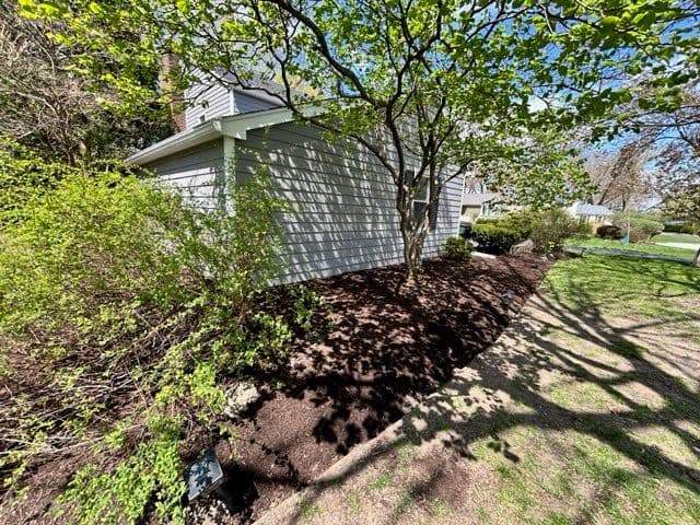Gallery photos for Stunning Yard Transformation in Barrington IL: Image #1