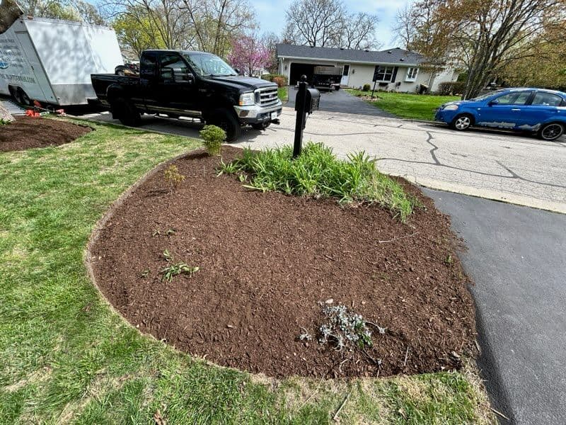 Revitalized Garden Spaces in Suburban Oasis image