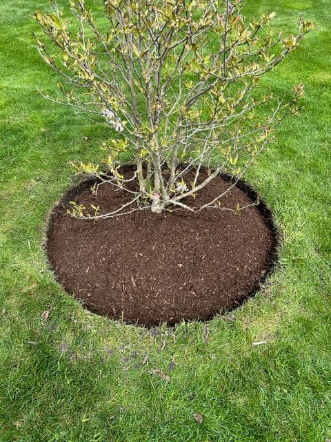 Gallery photos for Revitalized Garden Spaces in Suburban Oasis: Image #2