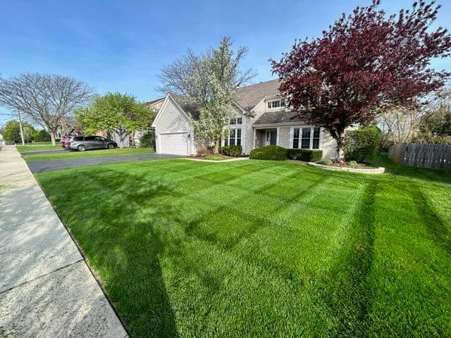 Stunning Lawn Transformations by BlackRock Outdoor