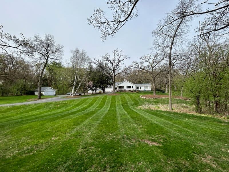 Gallery photos for Stunning Lawn Transformations by BlackRock Outdoor: Image #1
