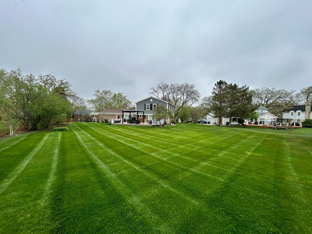 Gallery photos for Stunning Lawn Transformations by BlackRock Outdoor: Image #2